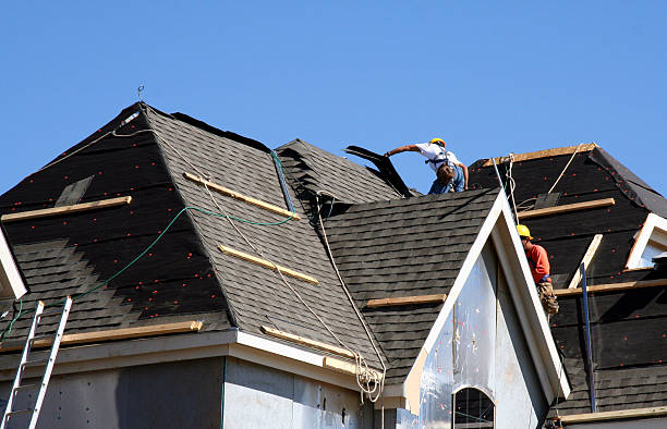 Best Best Roofing Contractors  in Frazee, MN