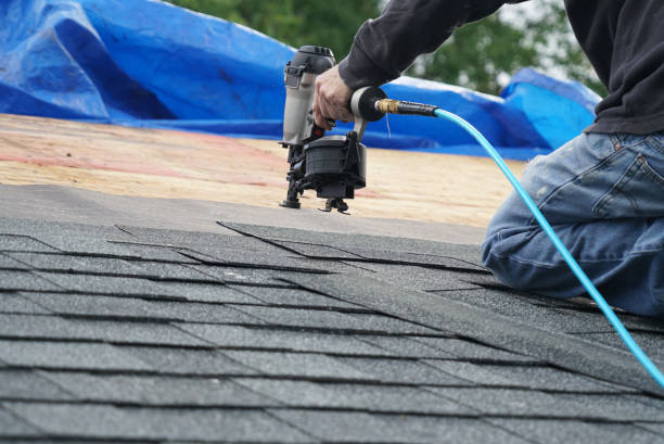 Best Gutter Installation and Roofing  in Frazee, MN
